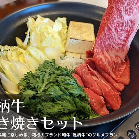 和光荘 Harmonious Light West Villa Hakone Ngoại thất bức ảnh