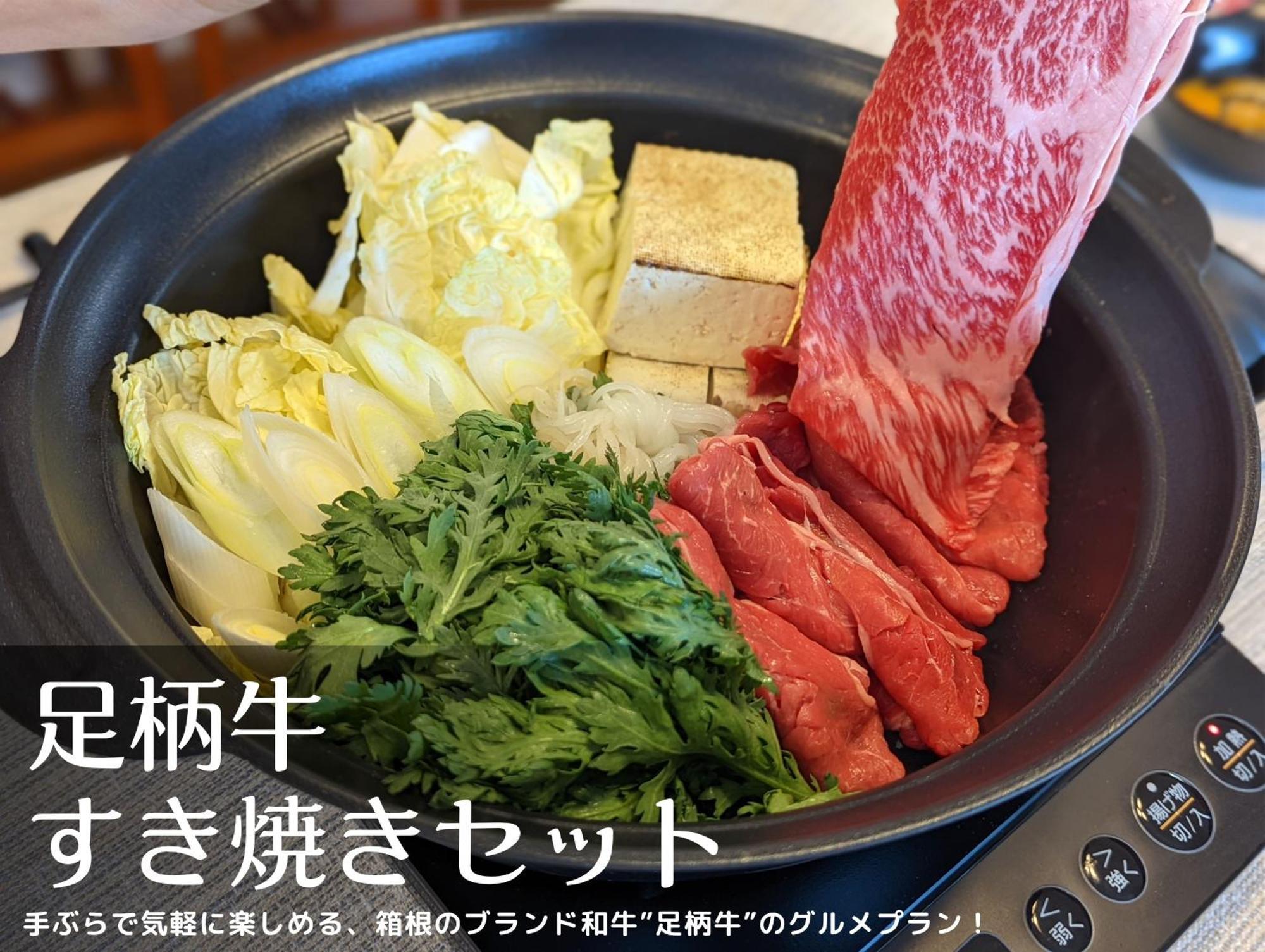 和光荘 Harmonious Light West Villa Hakone Ngoại thất bức ảnh
